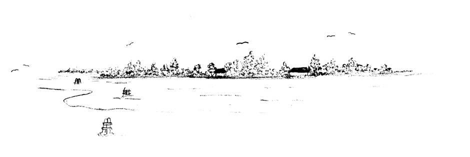 disegno della laguna e dell'isola